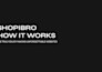 do professional shopify development on your store